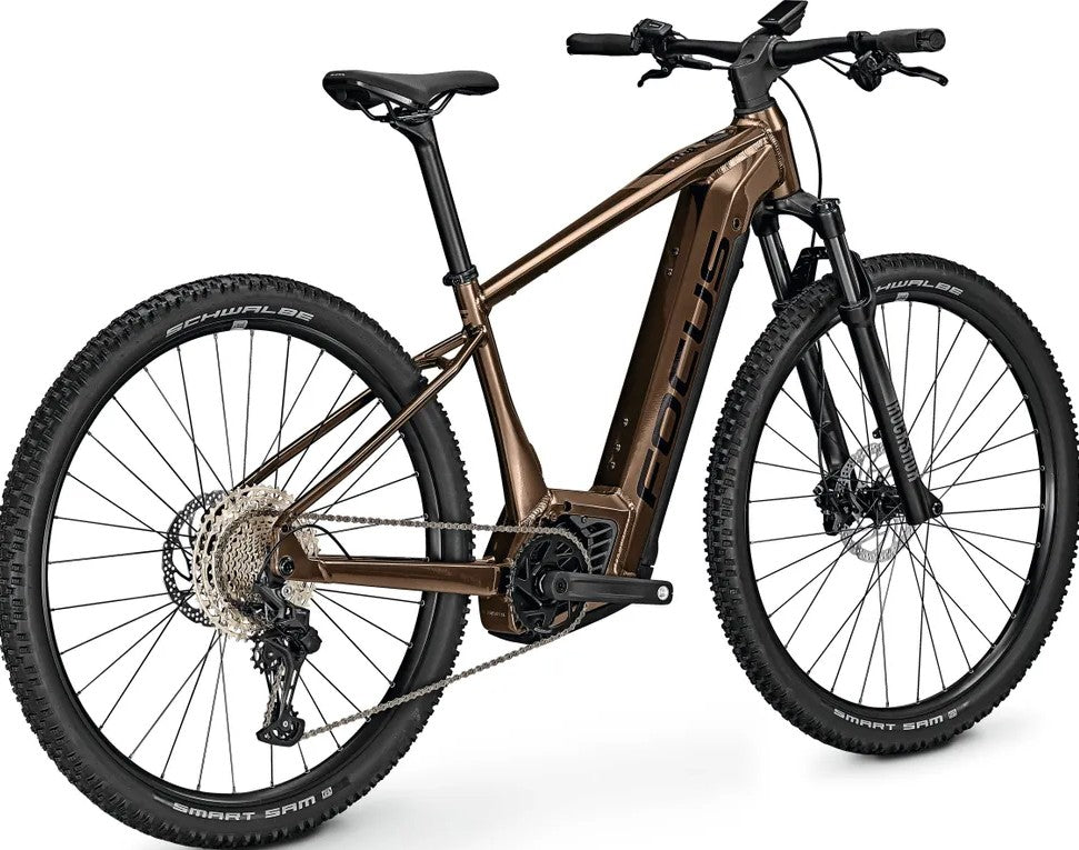 25 Focus F23 JARIFA2 6.8 Gold brown 750WH (52 XL)